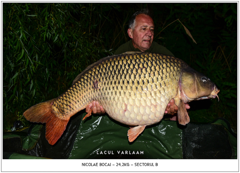 Nicolae Bocai - 24,2kg, Sectorul B.jpg