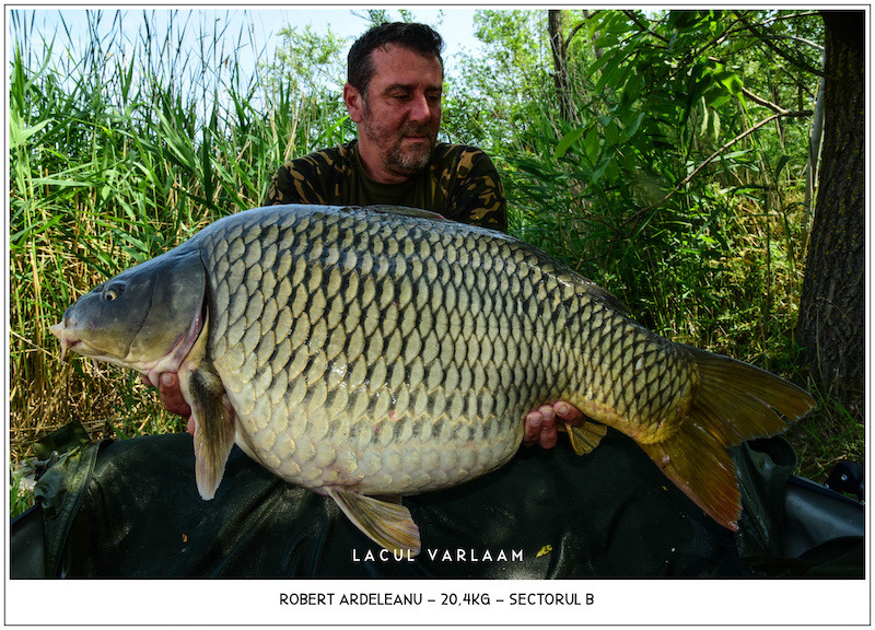 Robert Ardeleanu - 20,4kg, Sectorul B.jpg