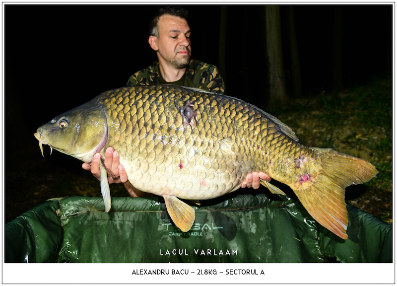 Alexandru Bacu - 21,8kg, Sectorul A.jpg