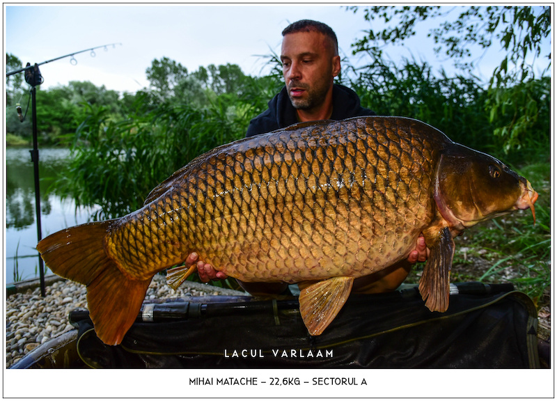 Mihai Matache - 22,6kg, Sectorul A.jpg