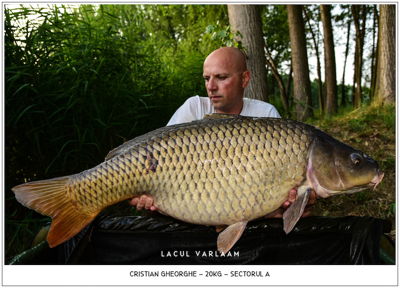 Cristian Gheorghe - 20kg, Sectorul A.jpg