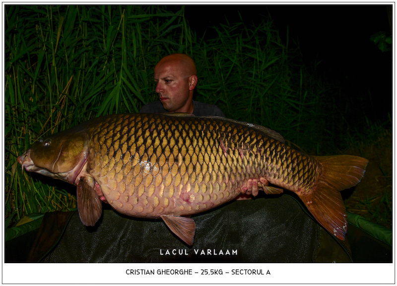 Cristian Gheorghe - 25,5kg, Sectorul A.jpg