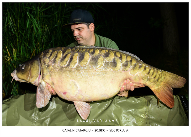 Catalin Catargiu - 20,9kg, Sectorul A.jpg