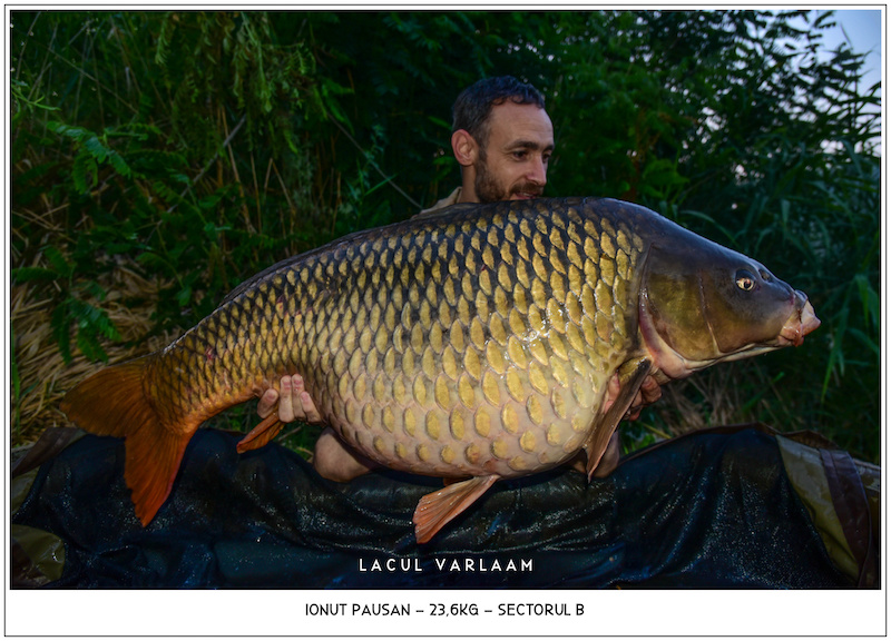 Ionut Pausan - 23,6kg, Sectorul B.jpg