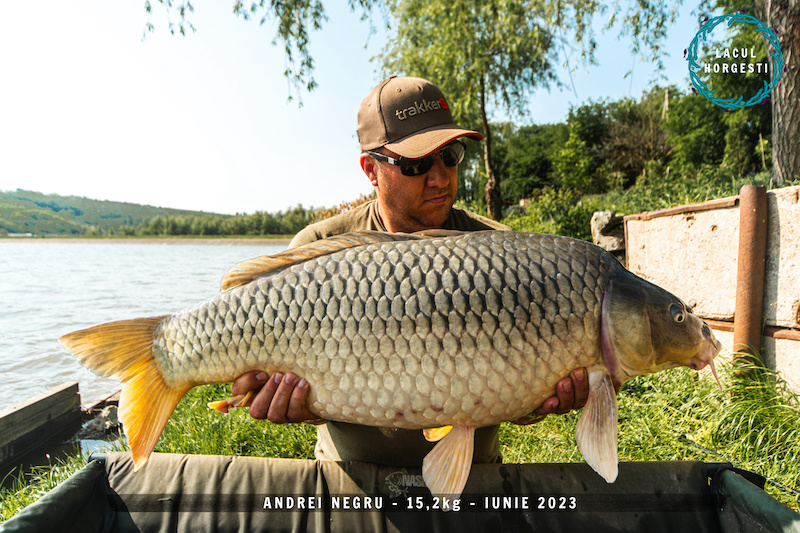 Andrei Negru - 15,2kg.jpg