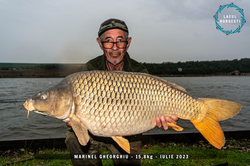 Marinel Gheorghiu - 15,8kg.jpg