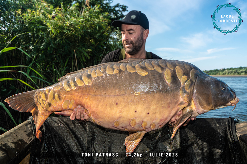 Toni Patrasc - 24,2kg.jpg