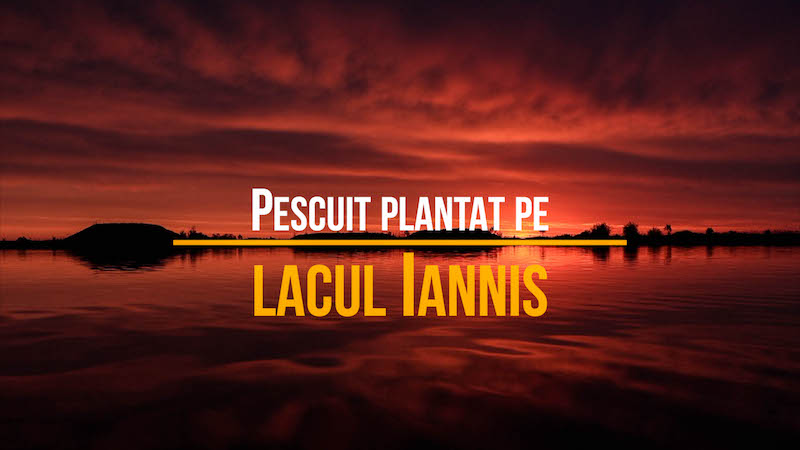 Pescuit plantat pe lacul Iannis.jpg