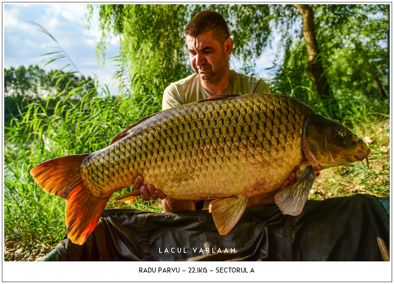 Radu Parvu - 22,1kg, Sectorul A.jpg