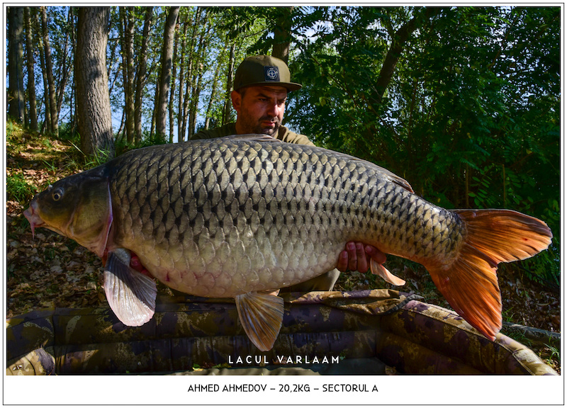 Ahmed Ahmedov - 20,2kg, Sectorul A.jpg