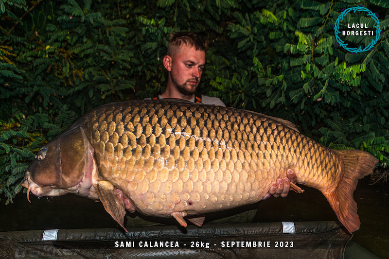 Sami Calancea - 26kg.jpg