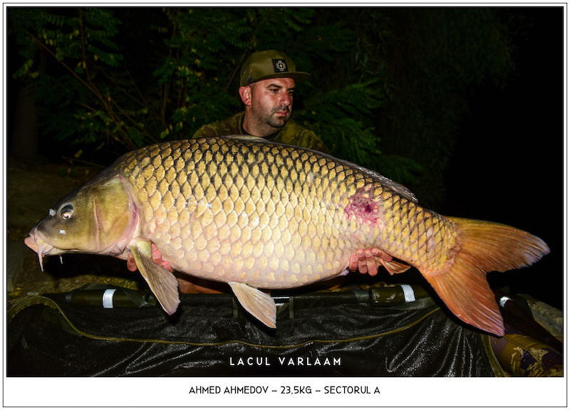 Ahmed Ahmedov - 23,5kg, Sectorul A.jpg