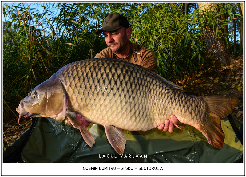 Cosmin Dumitru - 21,5kg, Sectorul A.jpg