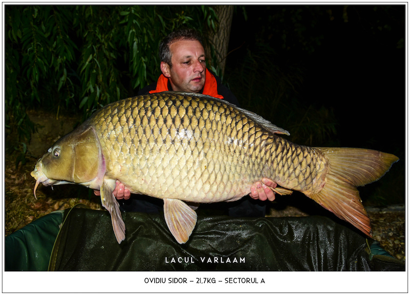 Ovidiu Sidor - 21,7kg, Sectorul A.jpg