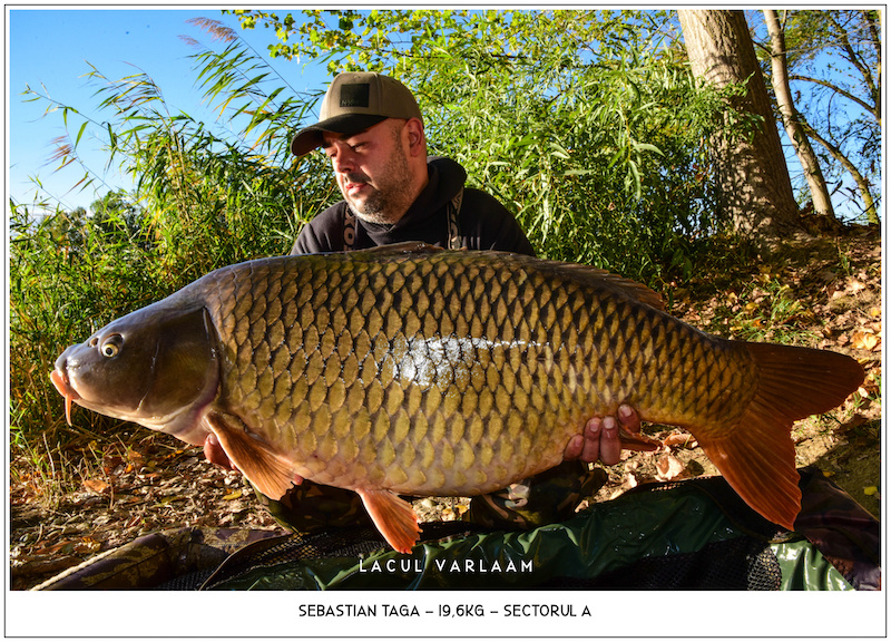 Sebastian Taga - 19,6kg, Sectorul A.jpg