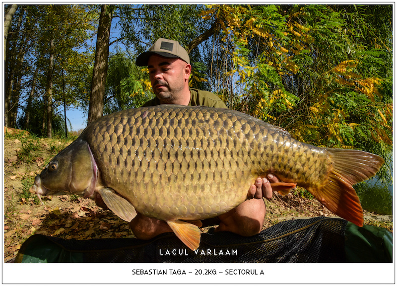 Sebastian Taga - 20,2kg, Sectorul A.jpg