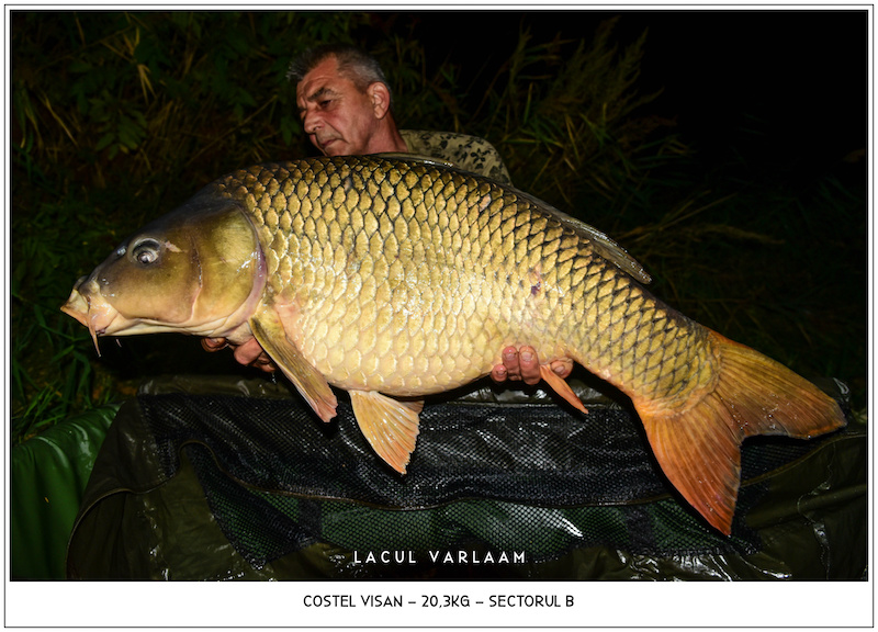 Costel Visan - 20,3kg, Sectorul B.jpg