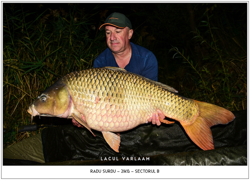 Radu Surdu - 21kg, Sectorul B.jpg