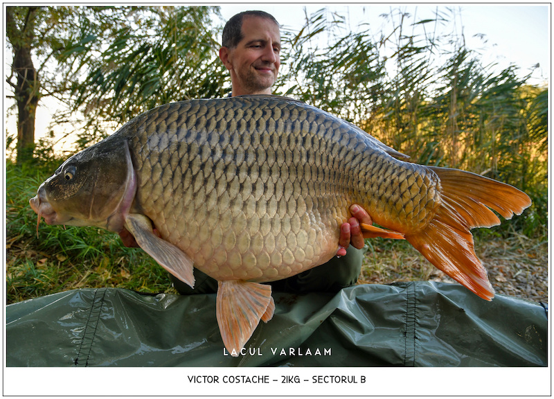 Victor Costache - 21kg, Sectorul B.jpg