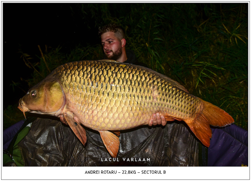 Andrei Rotaru - 22,8kg, Sectorul B.jpg