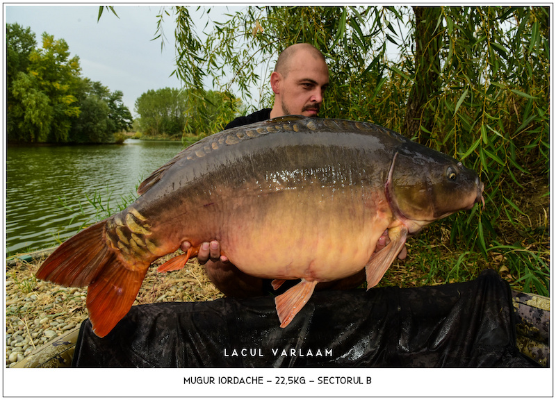 Mugur Iordache - 22,5kg, Sectorul B.jpg