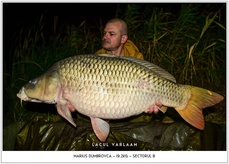 Marius Dumbrovca - 19,2kg, Sectorul B.jpg