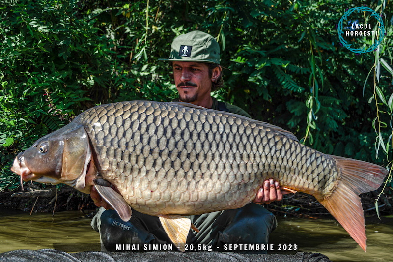 Mihai Simion - 20,5kg.jpg