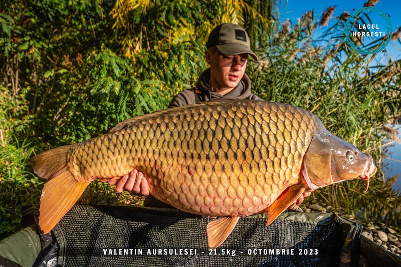 Valentin Aursulesei - 21,5kg.jpg