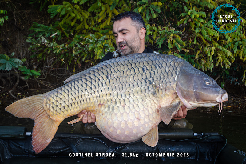 Costinel Stroea - 31,6kg.jpg