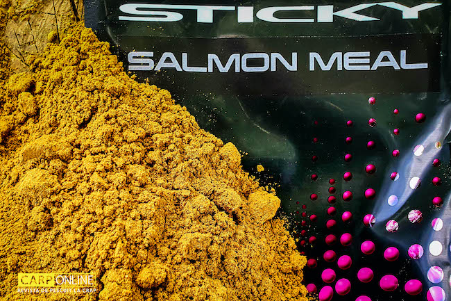 Sticky_Baits_Salmon_Meal_2