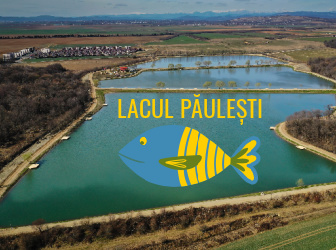 Lacul Paulesti